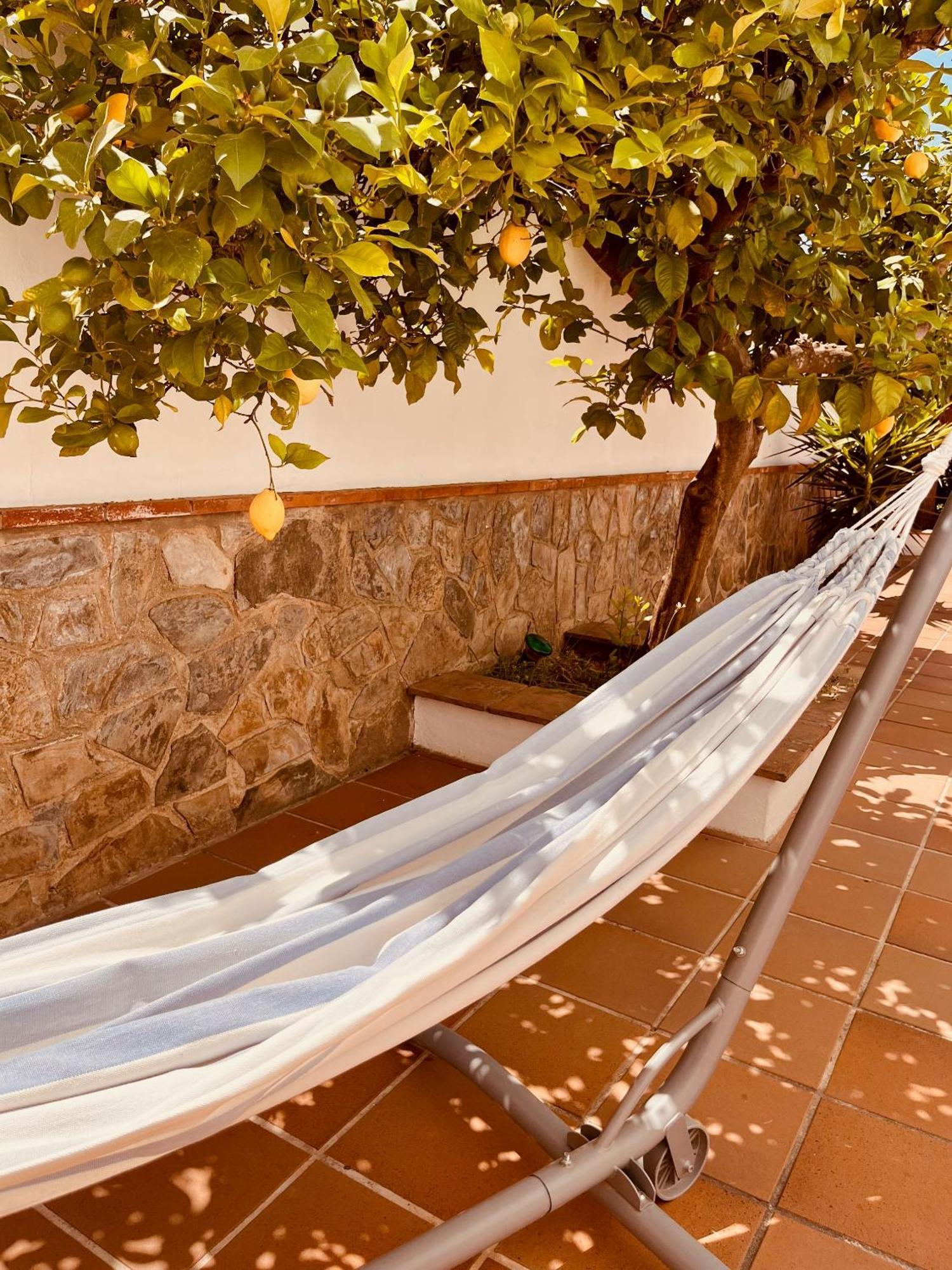 Casa Limon, Boutique Bed And Breakfast, Adults Only Alhaurin el Grande Ngoại thất bức ảnh